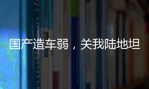 國(guó)產(chǎn)造車弱，關(guān)我陸地坦克啥事？