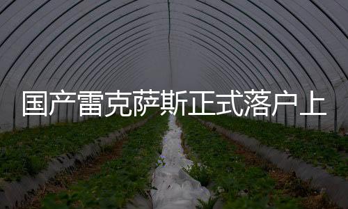 國(guó)產(chǎn)雷克薩斯正式落戶上海，引領(lǐng)豪華汽車市場(chǎng)新篇章