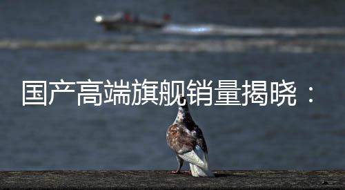 國(guó)產(chǎn)高端旗艦銷量揭曉：小米大幅領(lǐng)先華為 穩(wěn)居第一