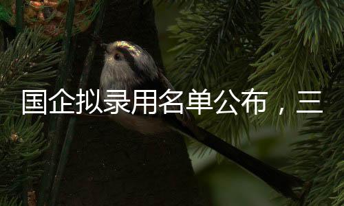 國企擬錄用名單公布，三名本科生引發(fā)社會熱議