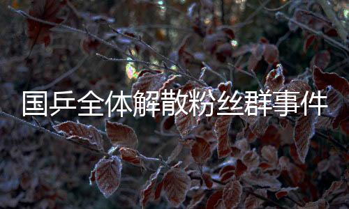 國(guó)乒全體解散粉絲群事件背后引發(fā)的思考