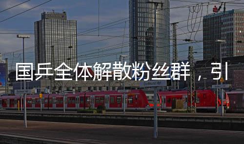 國乒全體解散粉絲群，引發(fā)廣泛關(guān)注和熱議