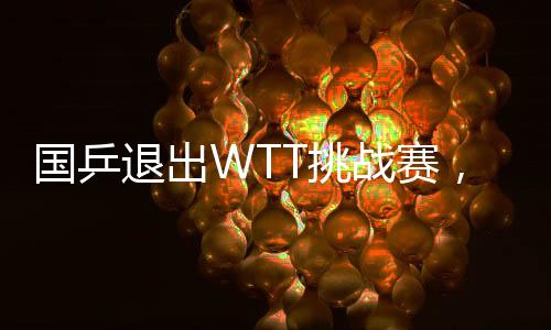 國(guó)乒退出WTT挑戰(zhàn)賽，戰(zhàn)略調(diào)整還是暫時(shí)休整？