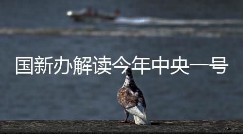 國新辦解讀今年中央一號文件，聚焦鄉(xiāng)村振興與農(nóng)村改革