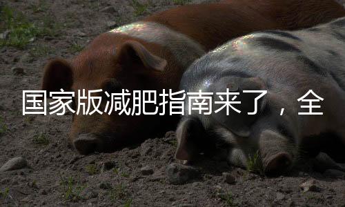國家版減肥指南來了，全方位指導健康減重