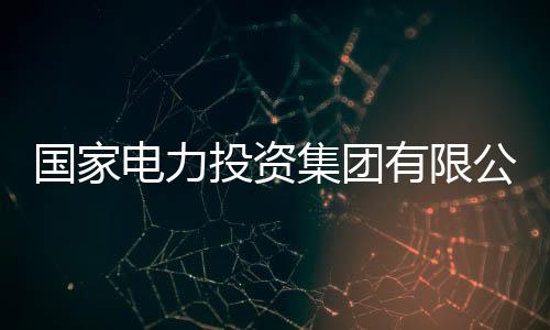 國(guó)家電力投資集團(tuán)有限公司戰(zhàn)略規(guī)劃與發(fā)展部副總監(jiān)曾武被查