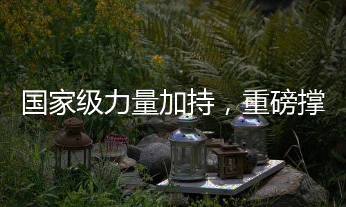 國家級力量加持，重磅撐腰計劃正式落地實施