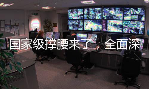 國(guó)家級(jí)撐腰來(lái)了，全面深化政策扶持，助推國(guó)家發(fā)展