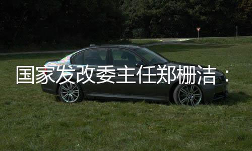 國家發(fā)改委主任鄭柵潔：努力把各方面積極因素轉化為發(fā)展實績