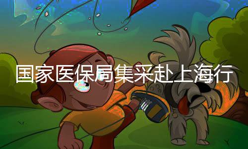 國家醫(yī)保局集采赴上海行動順利結(jié)束，已順利返京