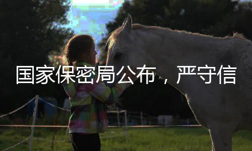 國家保密局公布，嚴守信息安全防線，開啟新一輪保密戰(zhàn)——國家保密局一號公告發(fā)布實施