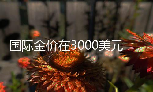 國(guó)際金價(jià)在3000美元關(guān)口上演多空對(duì)決
