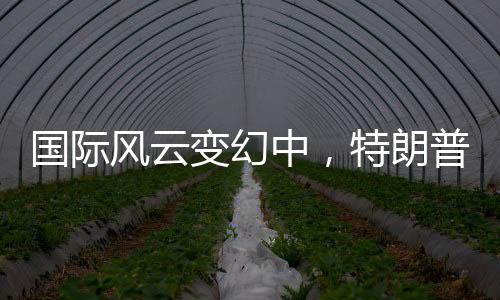 國際風(fēng)云變幻中，特朗普、普京與澤連斯基的停戰(zhàn)談判之路