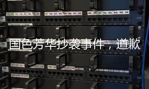 國色芳華抄襲事件，道歉與反思的文化內(nèi)涵