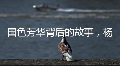 國(guó)色芳華背后的故事，楊紫嘴角的小紅點(diǎn)之謎