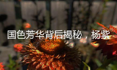 國色芳華背后揭秘，楊紫嘴角神秘小紅點故事