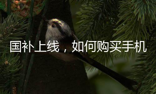 國補(bǔ)上線，如何購買手機(jī)最劃算？全方位攻略解析