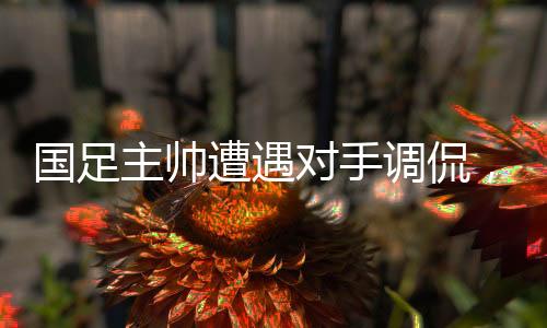 國足主帥遭遇對手調(diào)侃，爭議瞬間引發(fā)韓媒熱議