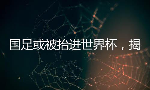 國足或被抬進(jìn)世界杯，揭秘中國足球的新希望與挑戰(zhàn)