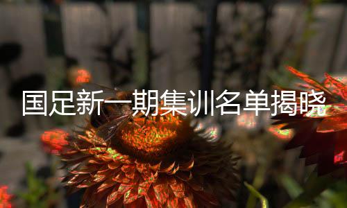 國足新一期集訓名單揭曉，王鈺棟入選，年輕力量蓄勢待發(fā)
