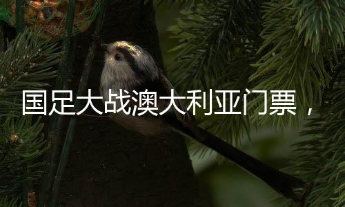 國(guó)足大戰(zhàn)澳大利亞門(mén)票，6分鐘售罄，球迷熱情空前