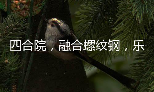 四合院，融合螺紋鋼，樂瘋婁小娥