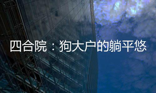 四合院：狗大戶(hù)的躺平悠閑生活！