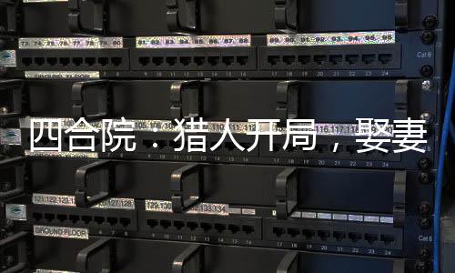 四合院：獵人開局，娶妻白玲