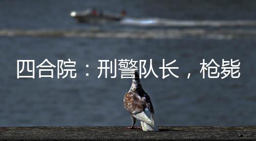 四合院：刑警隊長，槍斃眾禽