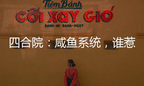四合院：咸魚系統(tǒng)，誰惹坑誰