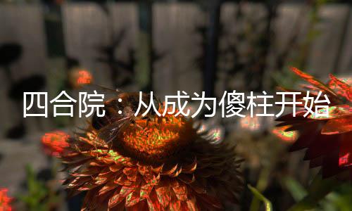 四合院：從成為傻柱開始