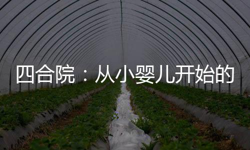 四合院：從小嬰兒開(kāi)始的人生贏家