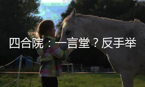 四合院：一言堂？反手舉報復(fù)辟！