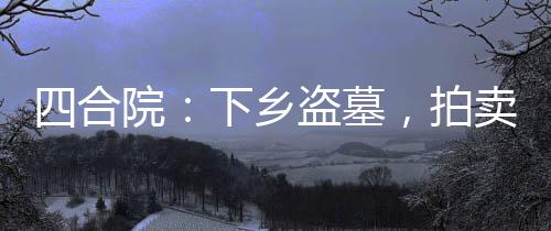 四合院：下鄉(xiāng)盜墓，拍賣諸天萬界
