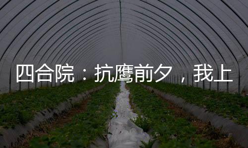 四合院：抗鷹前夕，我上交雙穿門