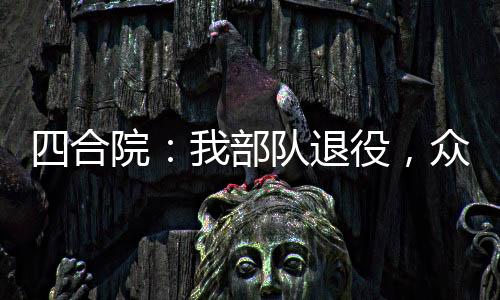 四合院：我部隊(duì)退役，眾禽倒大霉