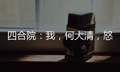 四合院：我，何大清，怒抽易中海