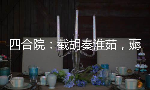 四合院：截胡秦淮茹，薅眾禽毛！