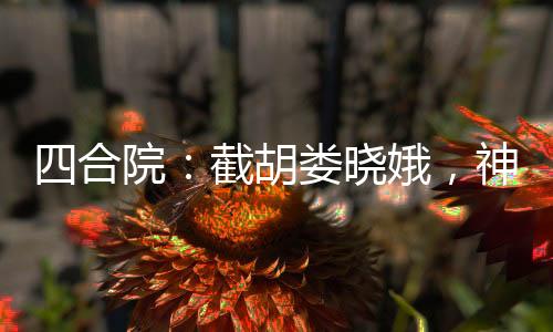 四合院：截胡婁曉娥，神級工程師