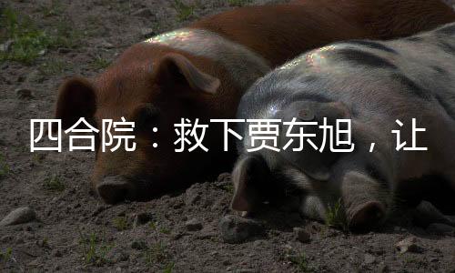 四合院：救下賈東旭，讓他去啃老