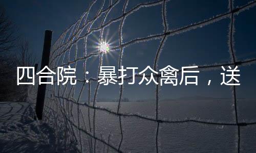 四合院：暴打眾禽后，送他們?nèi)氇z