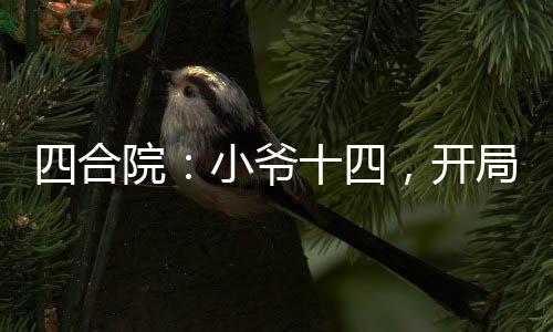 四合院：小爺十四，開局暴揍傻柱