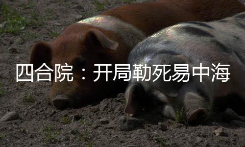 四合院：開局勒死易中海，殺光了