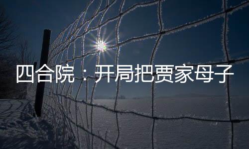 四合院：開局把賈家母子送進去
