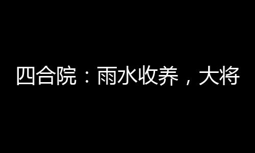 四合院：雨水收養(yǎng)，大將血脈曝光