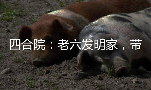四合院：老六發(fā)明家，帶飛兔子！