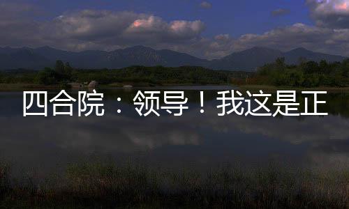 四合院：領(lǐng)導(dǎo)！我這是正經(jīng)招待所