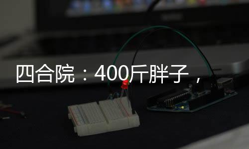 四合院：400斤胖子，弄壞秦淮