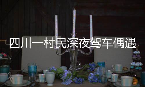 四川一村民深夜駕車偶遇大熊貓，引發(fā)關(guān)注熱潮
