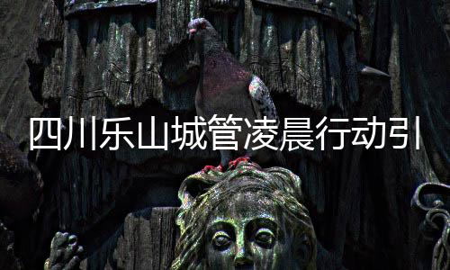 四川樂山城管凌晨行動引發(fā)爭議，揭秘運走攪拌機事件背后的真相